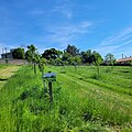 Verger participatif situé au cœur du parc de l'Abbaye.