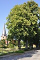 Deutsch: Lindenkranz an der Vicelinkirche in Pronstorf. This is a photograph of an architectural monument. It is on the list of cultural monuments of Pronstorf, no. 2.7.