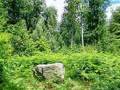 Le dolmen de Chancy ou « le Cheval-Blanc », vestige d'un dolmen.