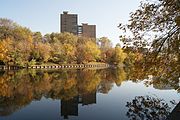 Vladimirskiy Pond (Moskva).jpg