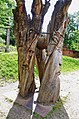 Baumwelt Aus dem Holz einer 230 jährigen Eiche WaldMenschen von Thomas Rees ein ständige Ausstellung auf dem Skulpturenpfad des Waldhaus Freiburg