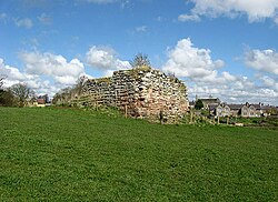 Wallace's Tower - geograph.org.uk - 771874.jpg