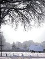 Winter in Wapenveld