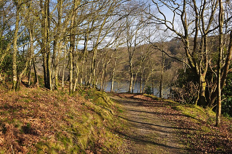 File:West Somerset , Path around Clatworthy Reservoir - geograph.org.uk - 2868219.jpg