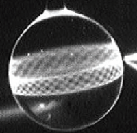 Optical whispering-gallery modes in a glass sphere of diameter 300 mm experimentally imaged with a fluorescence technique. The tip of an angle-cut optical fiber, visible on the right, excites the modes in the red region of the optical spectrum. Whispering gallery modes sphere.png