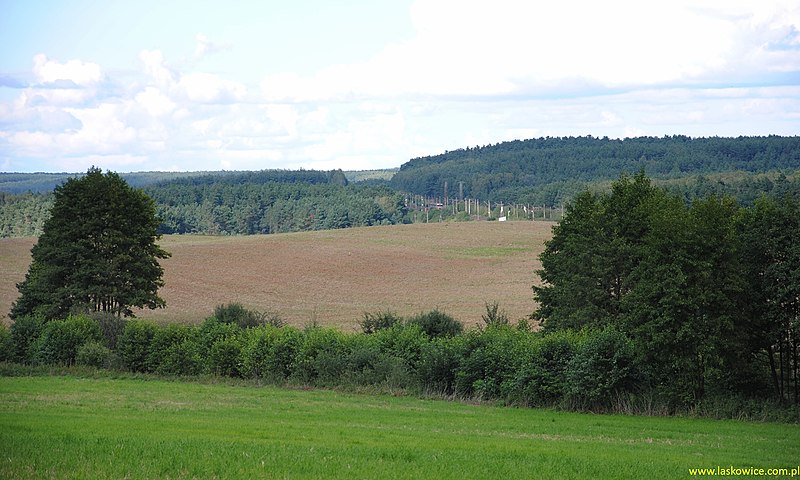 File:Widok z Kozłowa na magistralę kolejową w Nowe Dobra. - panoramio.jpg