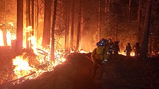 Zogg Fire 2020 wildfire in Shasta County, California
