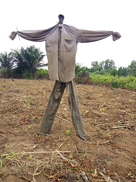 File:ÉPOUVANTAIL DANS UN CHAMP AU BENIN.jpg