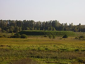 Мсцібаўскае гарадзішча, 2006