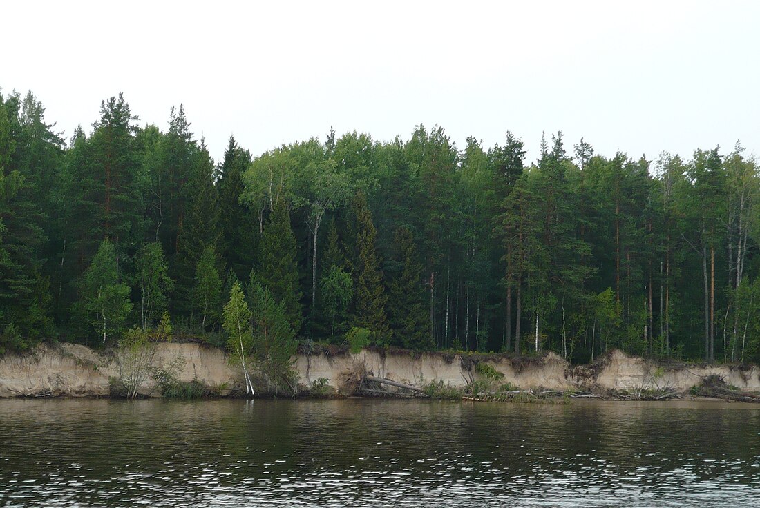 Nizhnesvirsky Nature Reserve