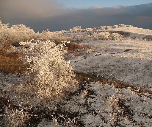 Ботанічний заказник "Гірський масив Тепе-Оба". Вершина східній частини масиву взимку.