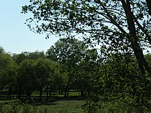 The Juniper Woodlands Sanctuary