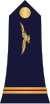 07.Cameroon Air Force-CWO.svg 