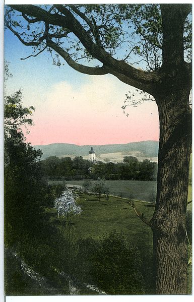 File:11134-Waldenburg-1910-Blick von der Rochlitzer Straße-Brück & Sohn Kunstverlag.jpg