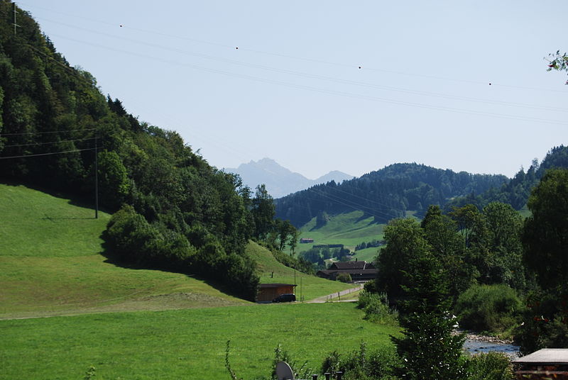 File:2011-08-21-Necker en Brunnadern (Foto Dietrich Michael Weidmann) 229.JPG