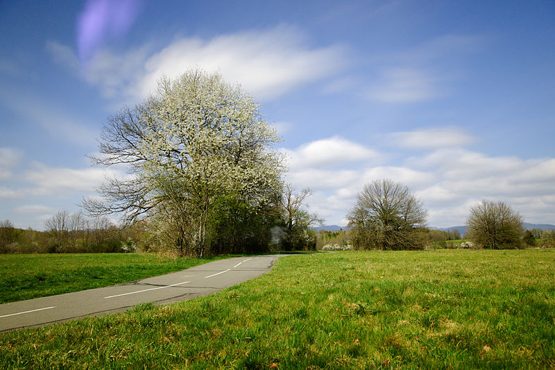 File:2014-04-06 14-27-17 nuages.jpg