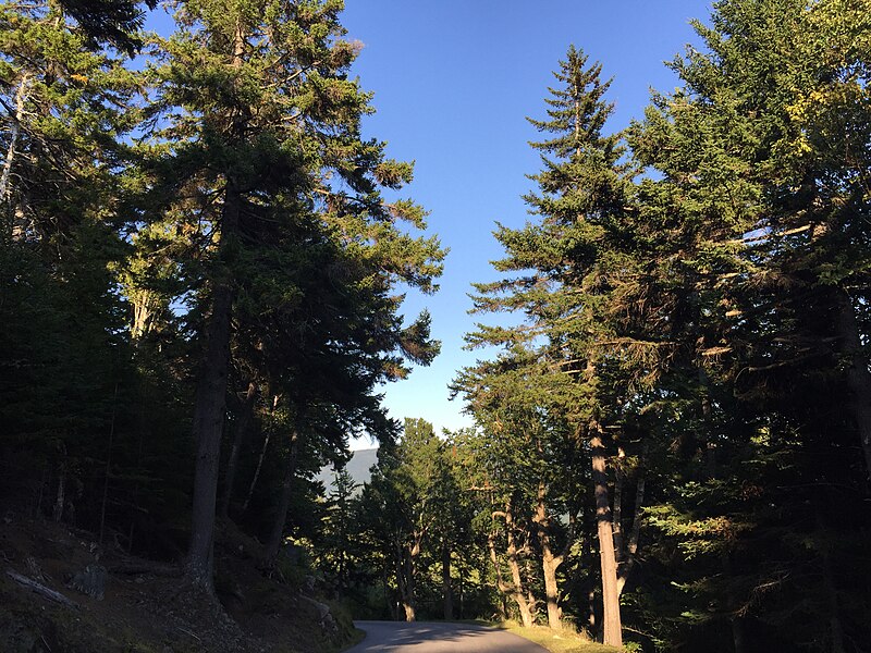 File:2016-09-03 17 13 32 View eastbound down the Mount Washington Auto Road at about mile 2.2 (about 2760 feet above sea level) in Sargent's Purchase Township, Coos County, New Hampshire.jpg