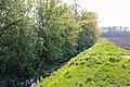 Deutsch: Der Ziethebusch in Köthen, Sachsen-Anhalt. Polski: Lasek Ziethebusch w Köthen, Niemcy