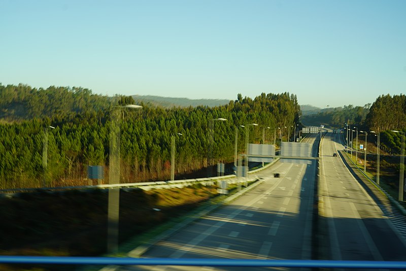 File:20200203 AveiroHwy 5243 (49654558763).jpg