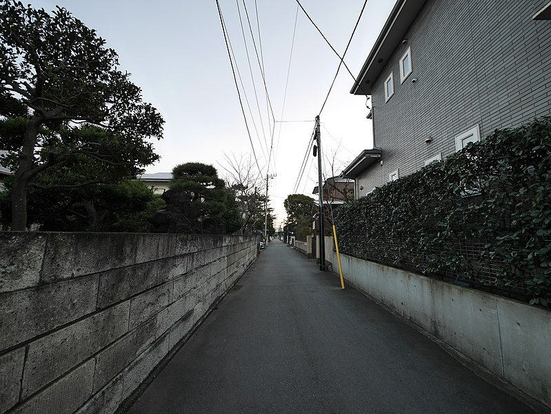 File:2 Chome Nakakaigan, Chigasaki-shi, Kanagawa-ken 253-0055, Japan - panoramio.jpg