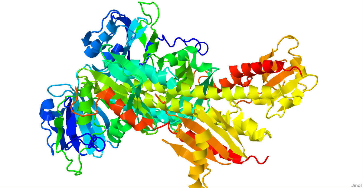 Phytochrome Wikipedia