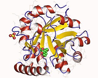 <span class="mw-page-title-main">Indole-3-glycerol-phosphate synthase</span> Class of enzymes