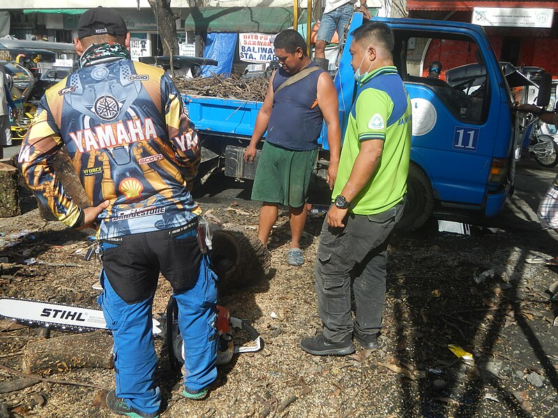 File:9852Baliuag DRRM workers cutting acacia tree trunks with Stihl chainsaws 25.jpg