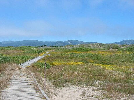 Año Nuevo State Park