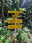 AUT — Tirol — Bezirk Kufstein — Gemeinde Scheffau am Wilden Kaiser — Bruggenmoos (Rehbachklamm, Wanderwegweiser) 2021