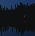 A night in the forest (2490587566).jpg