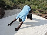 A view of Surya namaskar position 8.JPG