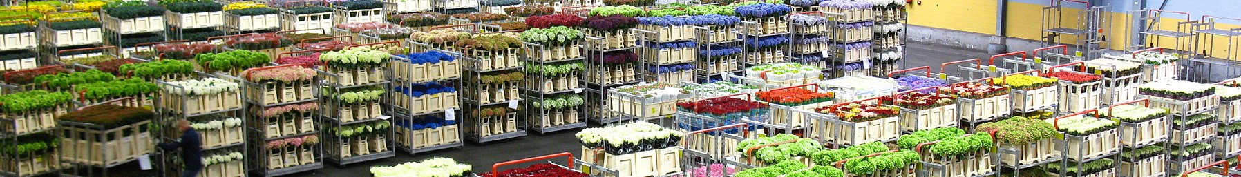 Aalsmeer marche aux fleurs2 baneris. JPG