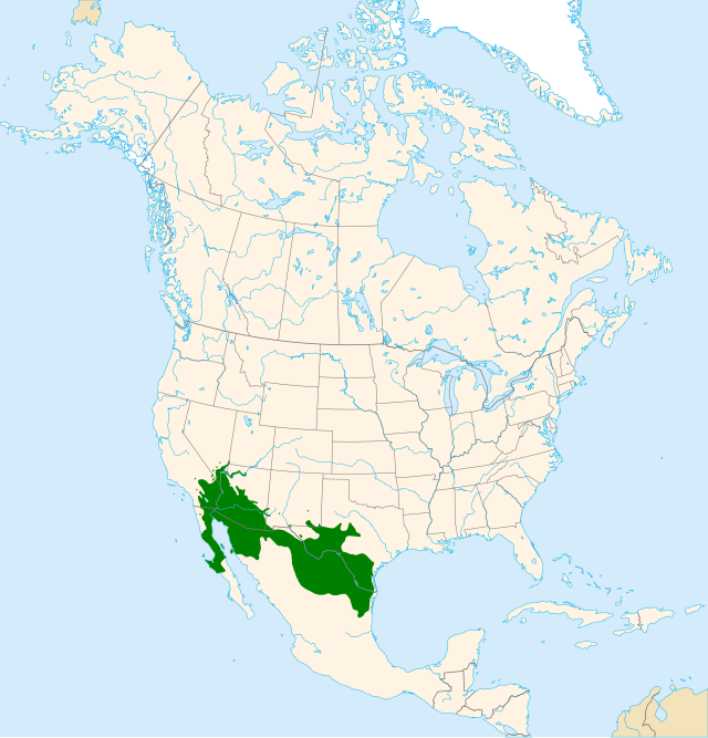 Range mapping. Waitakere ranges Map. Mesquite Map.