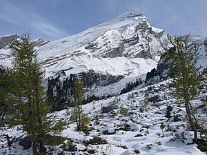 Altels uit het westen