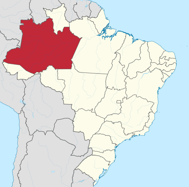 File:Amazonas in Brazil.svg