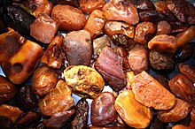 Unpolished amber stones, in varying hues Amber Bernstein many stones.jpg
