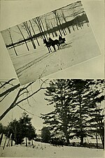 Thumbnail for File:American stallion register - including all stallions prominent in the breeding of the American roadster, trotter and pacer, from the earliest records to 1902. And this includes nearly all imported (18162636691).jpg