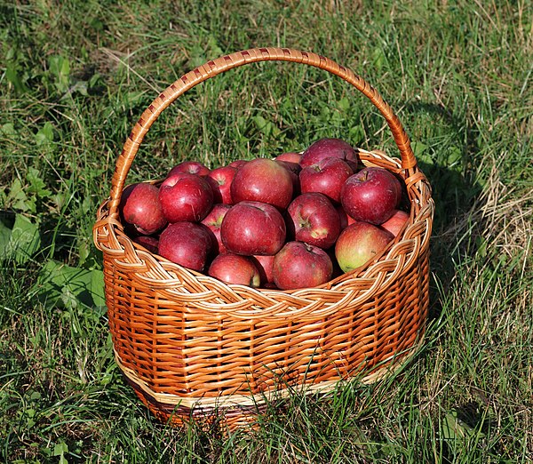 A wicker basket filled with apples