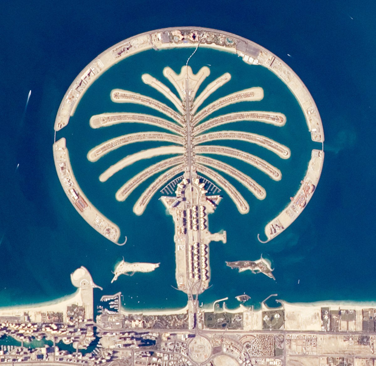 Palm Jumeirah - Wikipedia