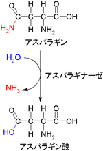 Asparagine to Aspartic acid.PNG
