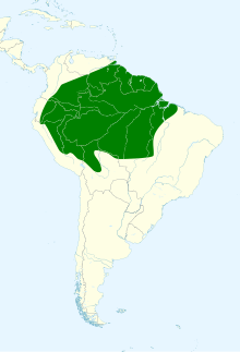 Atticora fasciata map.svg