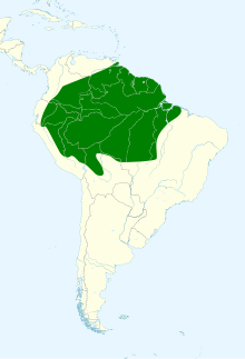 Atticora fasciata map.svg 