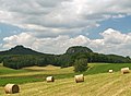 Blick von Weißig auf die Bärensteine