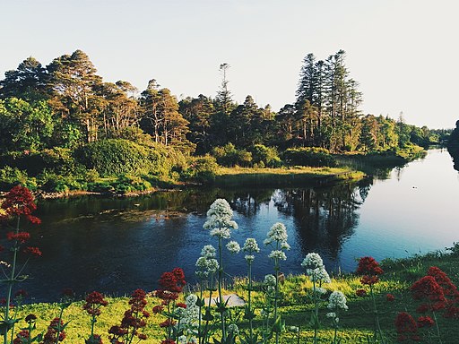 Ballynahinch Castle Hotel, Recess, Ireland (Unsplash)