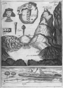 Balthasar de Monconys, Journal des voyages (1665).