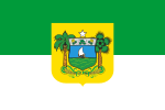 Miniatura para Bandera de Río Grande del Norte