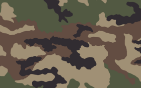 Camouflage Centre-Europe