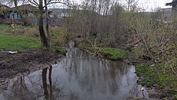 река Ботоюшка в селе Вознесенка в мае (половодье)