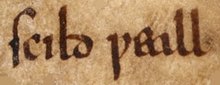 A mention of "scild weall" (shield-wall) in Beowulf Beowulf - scild weall.jpg