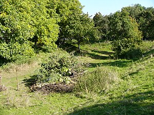 The moat of the former castle (September 2008)